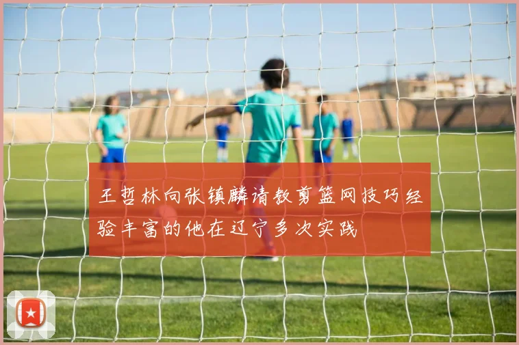 王哲林向张镇麟请教剪篮网技巧经验丰富的他在辽宁多次实践
