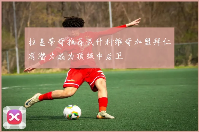 拉基蒂奇推荐武什科维奇加盟拜仁有潜力成为顶级中后卫