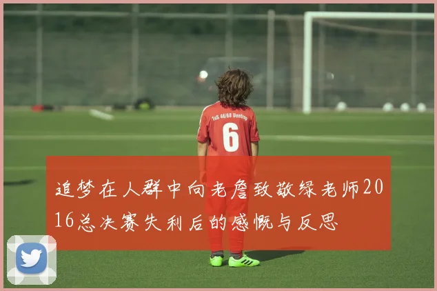 追梦在人群中向老詹致敬绿老师2016总决赛失利后的感慨与反思